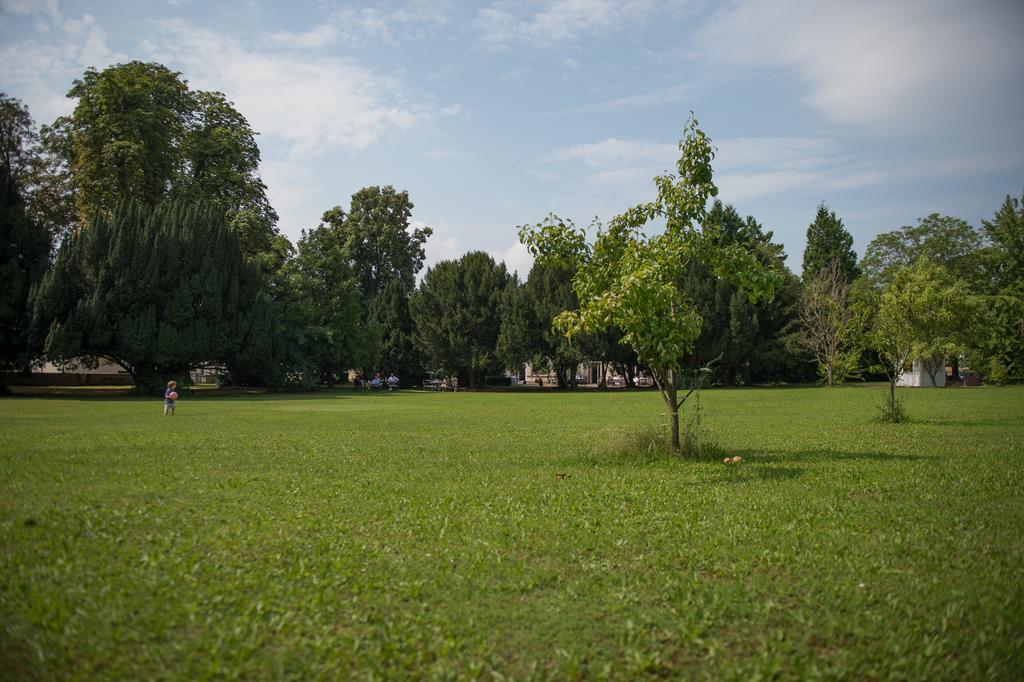 Parkhotel Tillmanns Eltville am Rhein Zewnętrze zdjęcie